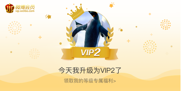 今天我升级为VIP2了