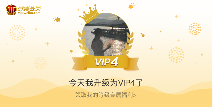 今天我升级为VIP4了