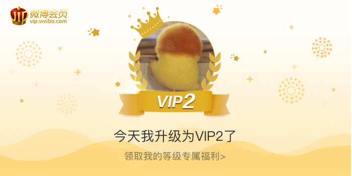 今天我升级为VIP2了