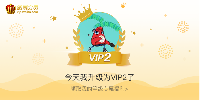 今天我升级为VIP2了