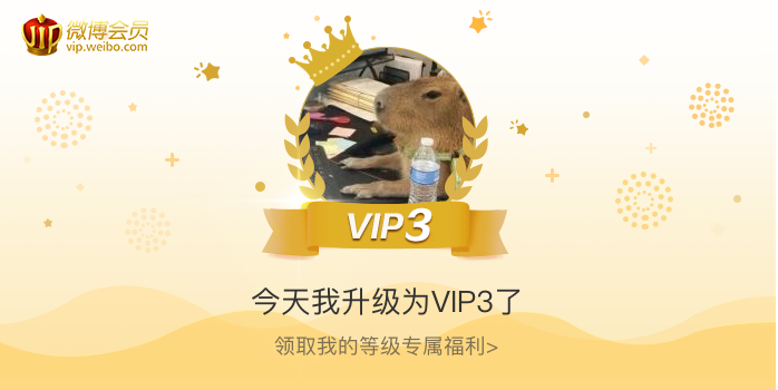 今天我升级为VIP3了