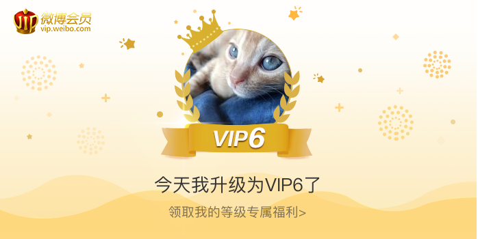 今天我升级为VIP6了