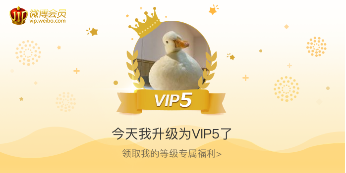 今天我升级为VIP5了