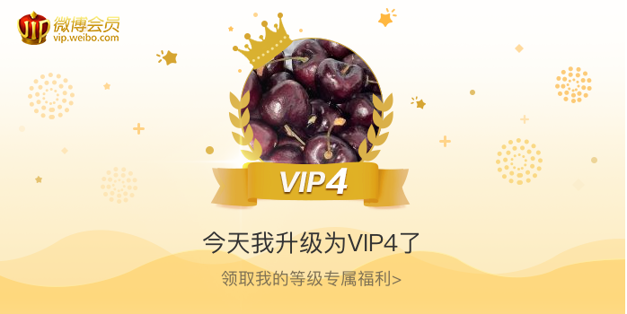 今天我升级为VIP4了