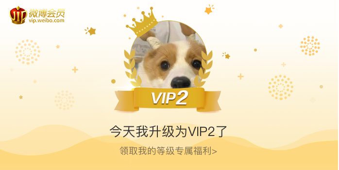 今天我升级为VIP2了