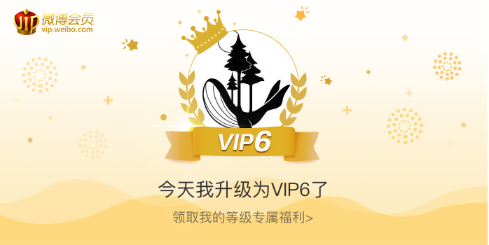 今天我升级为VIP6了