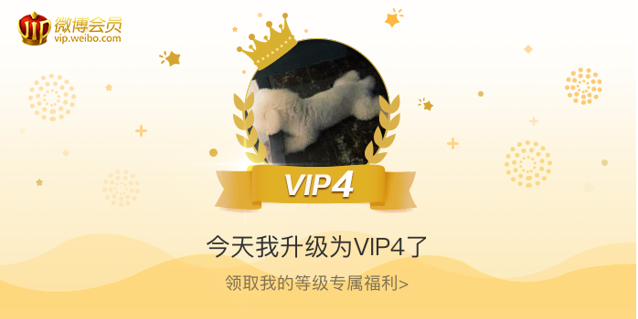 今天我升级为VIP4了