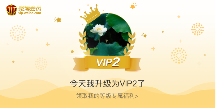 今天我升级为VIP2了