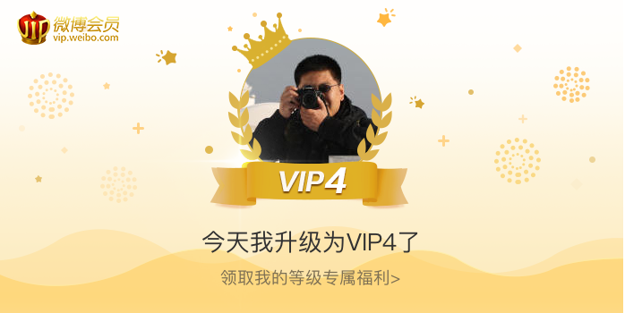 今天我升级为VIP4了