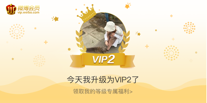 今天我升级为VIP2了