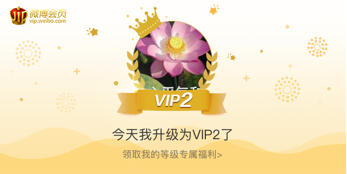 今天我升级为VIP2了