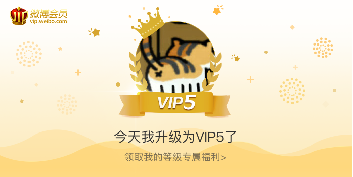 今天我升级为VIP5了