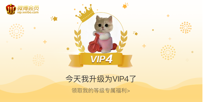 今天我升级为VIP4了