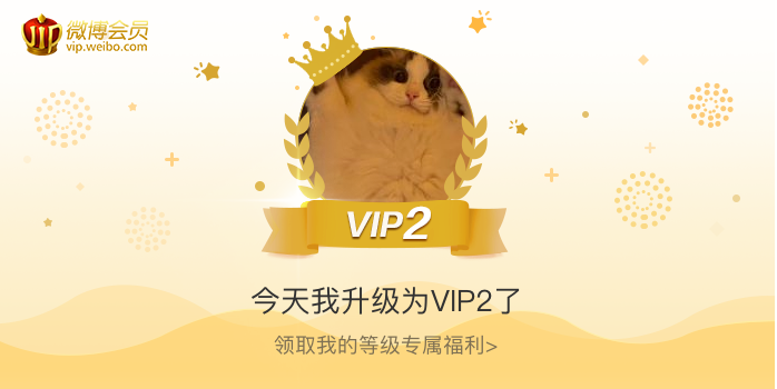 今天我升级为VIP2了